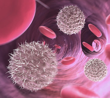 什么是間充質干細胞?