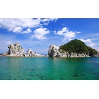 真相曝光！大和融資融券不正規！親身經歷講述虧損受騙真相！