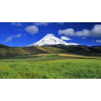 真相曝光！聞道資本不正規(guī)！揭開老師喊反單虧得原因！