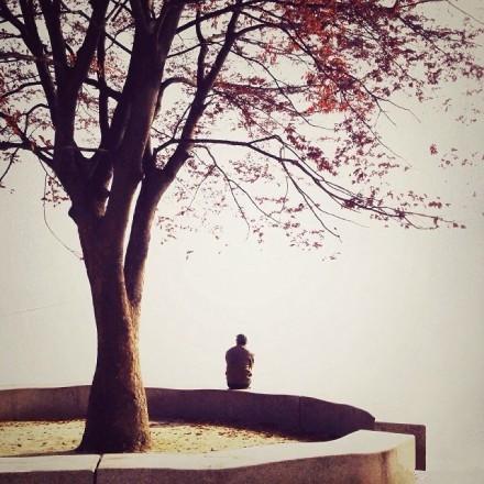 失戀后一個人孤單寂寞傷感的句子,句句催人淚下