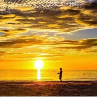 震驚勞埃德tsb投資大賽騙局揭露！楊清葉一鳴坑我幾十萬真相