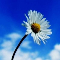 震驚鴻眾銀國(guó)際不正規(guī)！老師直播喊單騙局揭露！揭露虧損真相內(nèi)幕