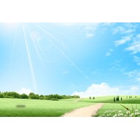 爆料盛世信創正規合法嗎？為何帶你做頻頻虧損，被騙了嗎