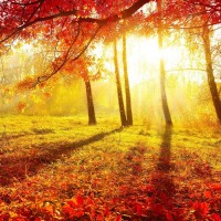 解密KB資產不正規!雷冬王者歸來指導被騙騙局揭秘