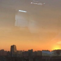 真相！t-win正規靠譜嗎？虧損真相大揭秘！講述不為人知內幕