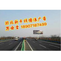 湖北武漢創意墻體店招廣告，湖北武漢戶外廣告牌安裝，武漢軍運會