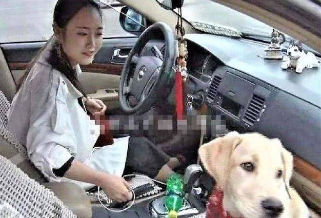 女司機注意了!往后副駕駛放這個,交警查到扣3分罰款200元