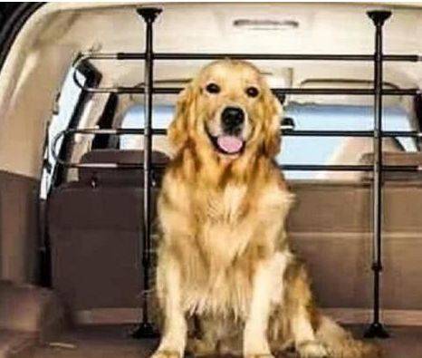 女司機注意了!往后副駕駛放這個,交警查到扣3分罰款200元