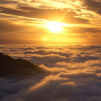 寶菲特資本正規嗎？老師帶單虧損后被踢出去群！難友速來