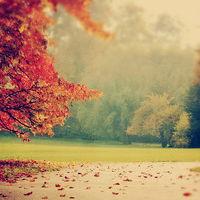 震驚！ 瀚泰國際不正規！揭露喊單虧損幾十萬真相！本人親身經歷