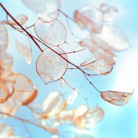 真相揭露點(diǎn)掌資本不正規(guī)內(nèi)幕！揭揭露騙局真相本人親身經(jīng)歷告誡