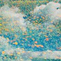 真相揭露利元期服正規靠譜嗎？騙局揭秘坑我幾十萬!難友速來