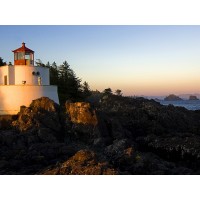 王侯點(diǎn)將正規(guī)嗎？被騙虧損的慘痛經(jīng)歷我還能挽回?fù)p失嗎？