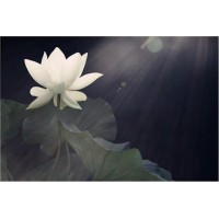 浙商國際讓我被騙虧損揭秘!虧損背后的真相令人心寒。