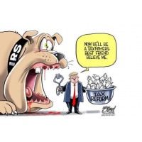 易路商城受害者必看，投資操作虧損被騙爆倉我該怎么辦?