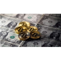 指南針策略投資入金虧損嚴重慘痛經歷大爆料,真實經歷告誡大家！