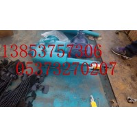 DYTP電動液壓推桿 平行式電液推桿