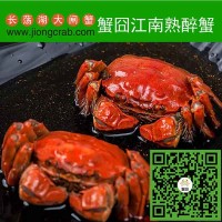 蟹囧原生態長蕩湖醉蟹采用香草裹扎螃蟹后清蒸