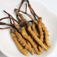 蘭州煙酒回收 蘭州回收煙酒 蘭州煙酒回收價格電話？