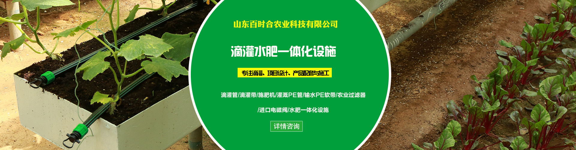 百時合主營業務