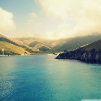 海農(nóng)中藥材正規(guī)嗎？是騙局嗎？跟上老師操作竟然虧損一敗涂地！