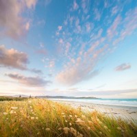 真相曝光NEWBAT不正規！被騙損失幾十萬無法出金黑幕講述