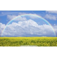 真相揭秘套牌西南聯(lián)合證券不正規(guī)!曝光被騙幾十萬真相親身訴說