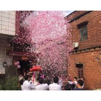 彩色天宮電子禮花用心打造禮花品牌