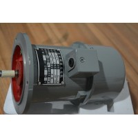 ZYS-6A 步尊永磁式直流測速發電機