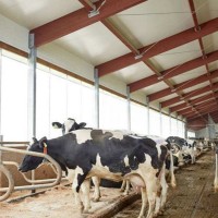 養(yǎng)殖場卷簾布防寒保溫豬場卷簾布防曬遮陽防水雞舍牛場卷簾篷布