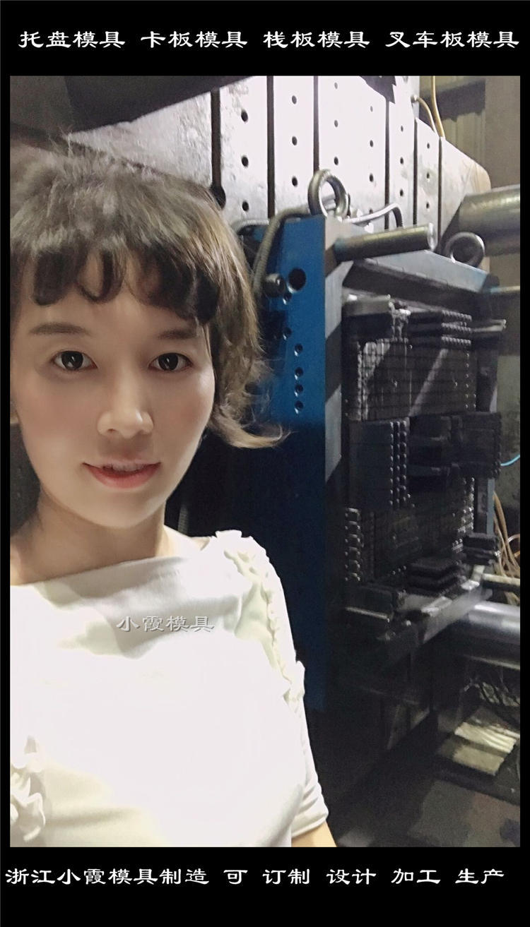 塑料托盤模具 (44)