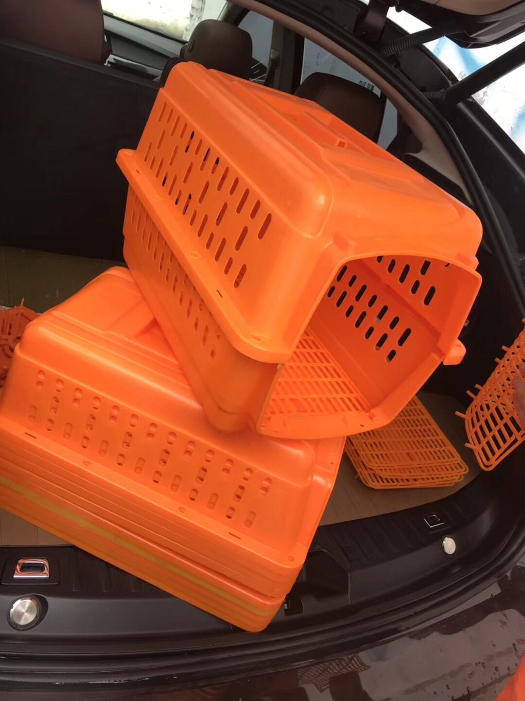 動(dòng)態(tài)圖