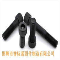 現(xiàn)貨供應(yīng)GB70.1高強(qiáng)度加長(zhǎng)8.8級(jí)圓柱頭內(nèi)六角螺栓