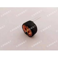 環(huán)形電感/環(huán)形線圈電感/環(huán)形共模電感/電感生產(chǎn)廠家