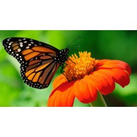 俄羅斯進(jìn)口食品.中俄邊境商品.俄羅斯商品.中俄貿(mào)易.俄羅斯