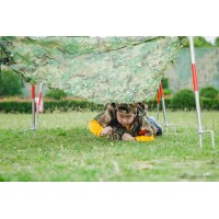 蘇州少兒營地教育社會實踐戶外拓展軍事訓練素質培養營報名中