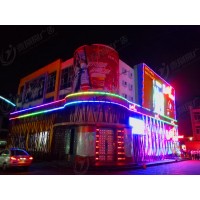 廠家大型定制戶外LED霓虹燈燈飾畫(huà)裝飾幕墻燈光亮化網(wǎng)紅墻裝飾