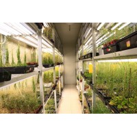 培養架光源氣候室